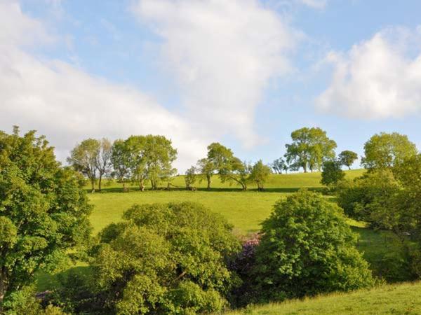 Hendre Aled Cottage 1 Llansannan Zewnętrze zdjęcie